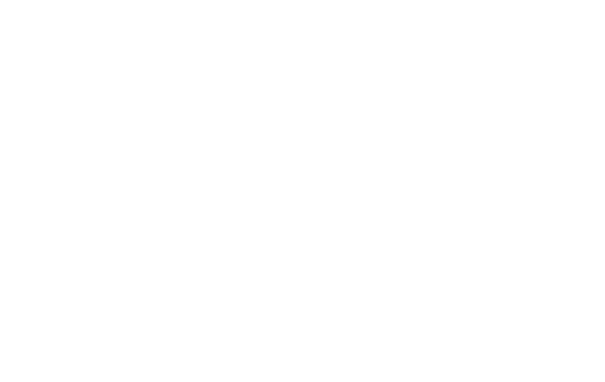 impact strategies logo weiss